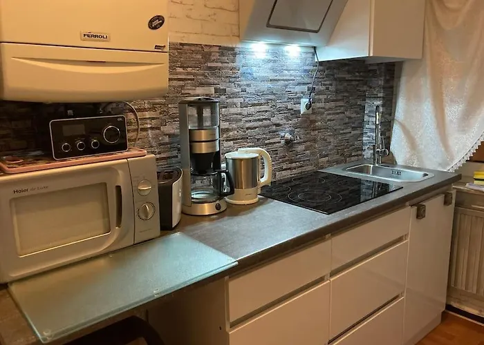 Toll Apartment Am Rhein Netflix Internet 1000 Mbits, Free Parking